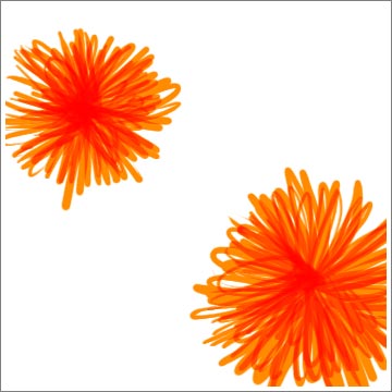 riedel_florals_orange006.jpg